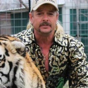 SEO in Tiger King, Joe Exotic SEO, Search Engine Optimisation | Core Optimisation SEO Agency Ireland